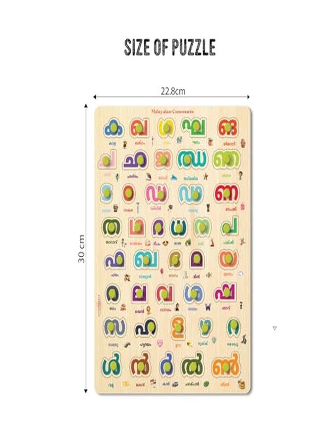 Khilonewale Set of 2 Wooden Knob Puzzles in Malayalam | Alphabet & Numbers Learning Puzzle for Kids 3+ Years | Educational Wooden Board Toys | 9x12 inch Montessori Puzzles (Malayalam Consonant+Vowel) - Image 3